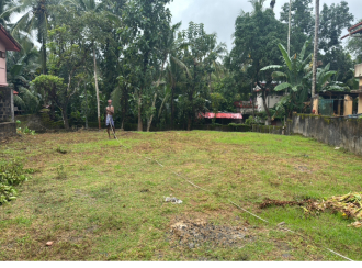 Residential Land for SalePathanamthitta, Mallappally, Mallapally