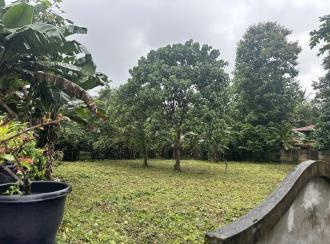 Residential Land for SaleThrissur, Kunnamkulam, Akkikavu
