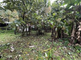 Residential Land for Sale in Thrissur, Kunnamkulam, Akkikavu