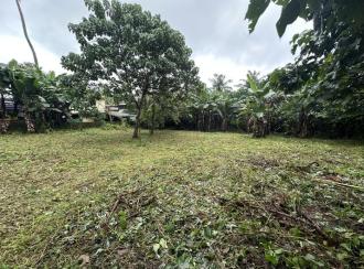 Residential Land for Sale in Thrissur, Kunnamkulam, Akkikavu