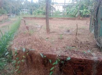 Residential Land for SaleKannur, Chala, Chala