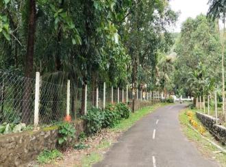 Residential House Villa for Sale in Palakkad, Mannarkkad, Kottoppadam