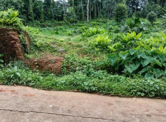 Residential Land for Sale in Kottayam, Ponkunnam, Kodungoor