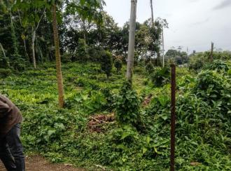 Residential Land for Sale in Kottayam, Ponkunnam, Kodungoor