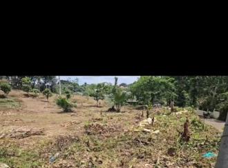 Residential Land for Sale in Kottayam, Ponkunnam, Kodungoor