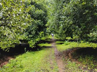 Residential Land for SaleErnakulam, Perumbavoor, Koovappady