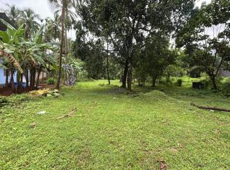 Commercial Land for SaleThrissur, Athani, Minalur
