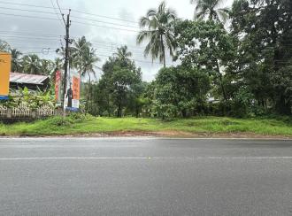 Commercial Land for Sale in Thrissur, Athani, Minalur