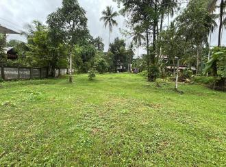 Commercial Land for Sale in Thrissur, Athani, Minalur
