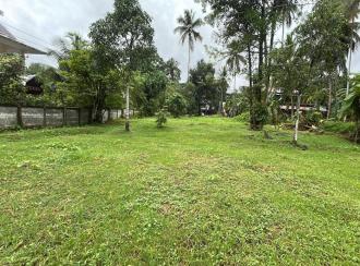 Commercial Land for Sale in Thrissur, Athani, Minalur
