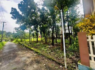 Residential Land for SaleKottayam, Kuruppanthara, Kuruppanthara