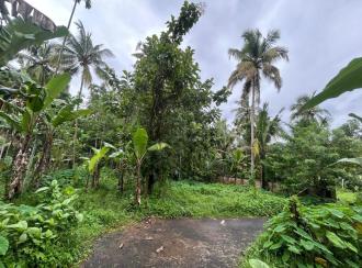 Residential Land for SaleThrissur, Pattikkad, Pattikkad