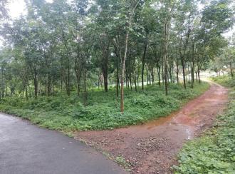 Agricultural Land for SaleKottayam, Kuravilangad, Vayala
