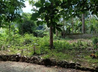 Residential Land for SalePathanamthitta, Konni, Murinjakal