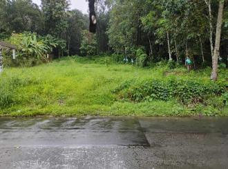 Residential Land for SaleErnakulam, Koothattukulam, Koothattukulam