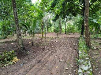 Residential Land for SaleKollam, Chathannoor, Chathannoor