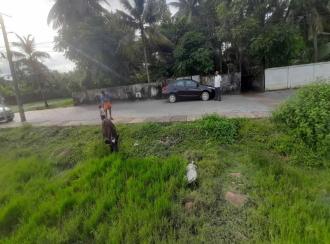 Residential Land for SaleErnakulam, Maradu, Maradu