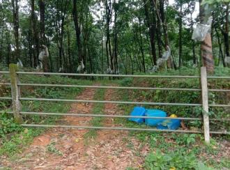 Residential Land for SaleIdukki, Thodupuzha, Karimannoor
