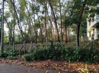 Residential Land for SaleTrivandrum, Nedumangad, Tholicode