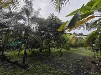 Residential Land for Sale in Ernakulam, Maradu, Kundannoor