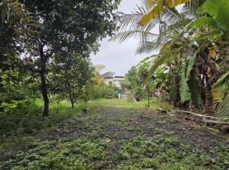 Residential Land for Sale in Ernakulam, Maradu, Kundannoor