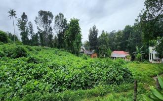 Residential Land for Sale in Kottayam, Kottayam town, Chengalam