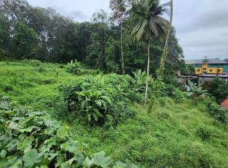 Commercial Land for SaleKottayam, Pampady, Pampady
