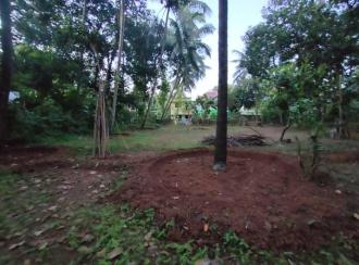 Residential Land for SaleThrissur, Amala nagar, Adat