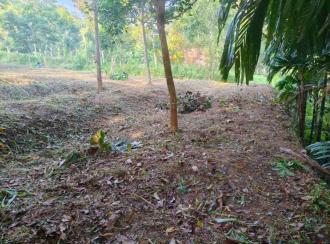 Commercial Land for SaleKollam, Kottarakkara, Puthur