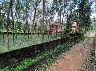 Residential Land for SalePathanamthitta, Mallappally, Mallapally