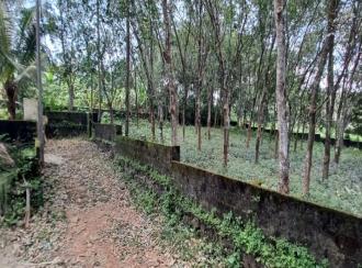 Residential Land for Sale in Pathanamthitta, Mallappally, Mallapally