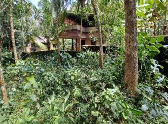 Residential Land for Sale in Pathanamthitta, Mallappally, Mallapally