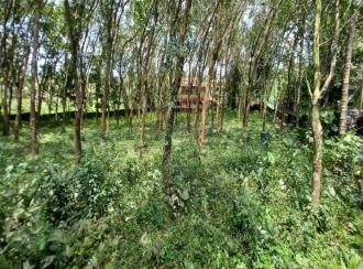 Residential Land for Sale in Pathanamthitta, Mallappally, Mallapally