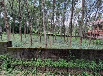 Residential Land for Sale in Pathanamthitta, Mallappally, Mallapally