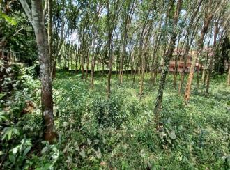 Residential Land for Sale in Pathanamthitta, Mallappally, Mallapally
