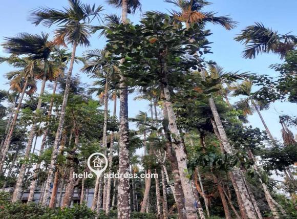 Residential Land for Sale