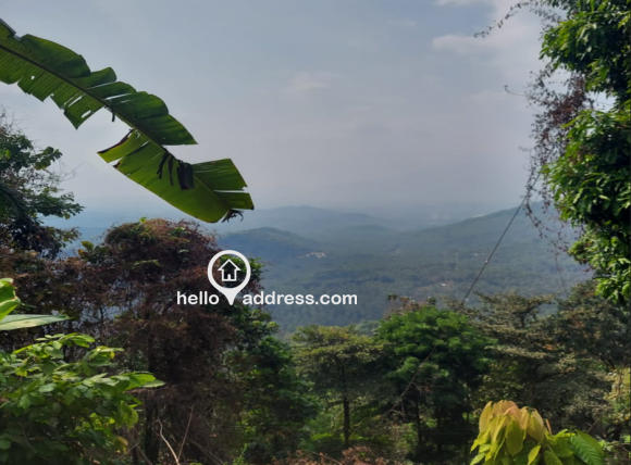 View from the property