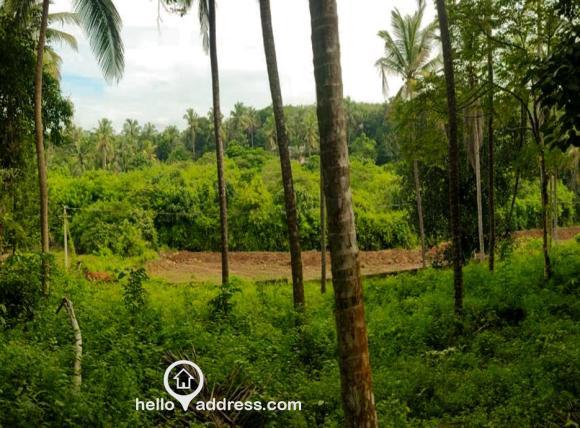 Residential Land for Sale