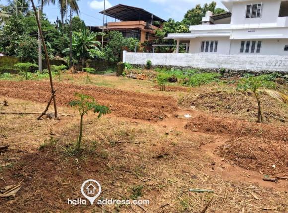 Church, Temples, Market and Banks are in nearby areas