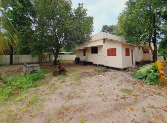 Residential House Villa for Sale in Alleppey, Alappuzha, Thathampally, Cheramankulangara