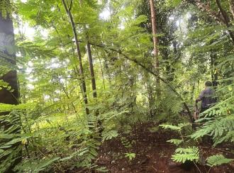 Residential Land for Sale in Thrissur, Chelakara, Chelakara Town