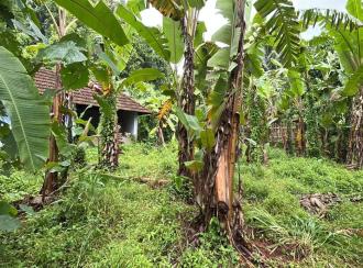 Residential Land for Sale in Thrissur, Chelakara, Chelakara Town