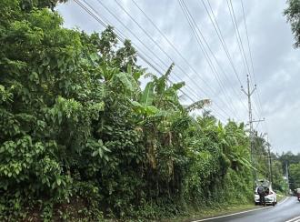 Residential Land for Sale in Thrissur, Chelakara, Chelakara Town