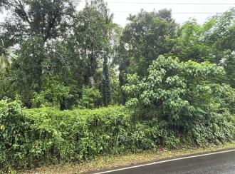 Residential Land for Sale in Thrissur, Chelakara, Chelakara Town