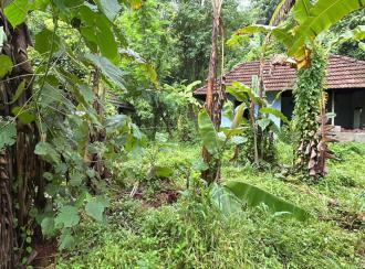 Residential Land for Sale in Thrissur, Chelakara, Chelakara Town