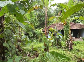 Residential Land for Sale in Thrissur, Chelakara, Chelakara Town