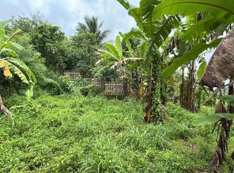 Residential Land for Sale in Thrissur, Chelakara, Chelakara Town