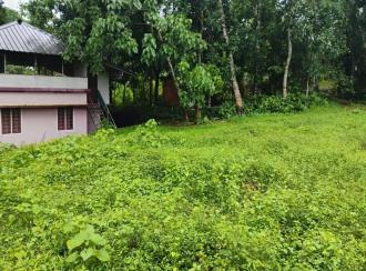 Residential Land for Sale in Ernakulam, Koothattukulam, Koothattukulam