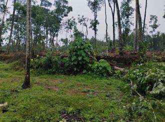 Residential Land for Sale in Ernakulam, Koothattukulam, Koothattukulam