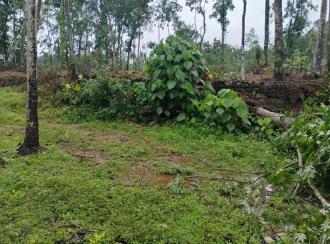 Residential Land for Sale in Ernakulam, Koothattukulam, Koothattukulam